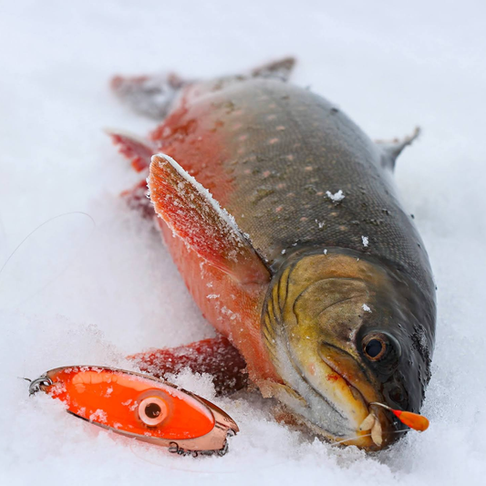 Norolan Original Rödingfrossa special rautulätkäpaketti