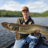 Norolan parhaat haukivieheet 5-pack