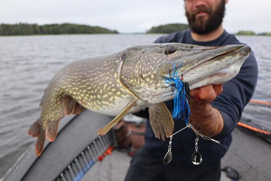 Norolan Griddy Dancer spinnerbait