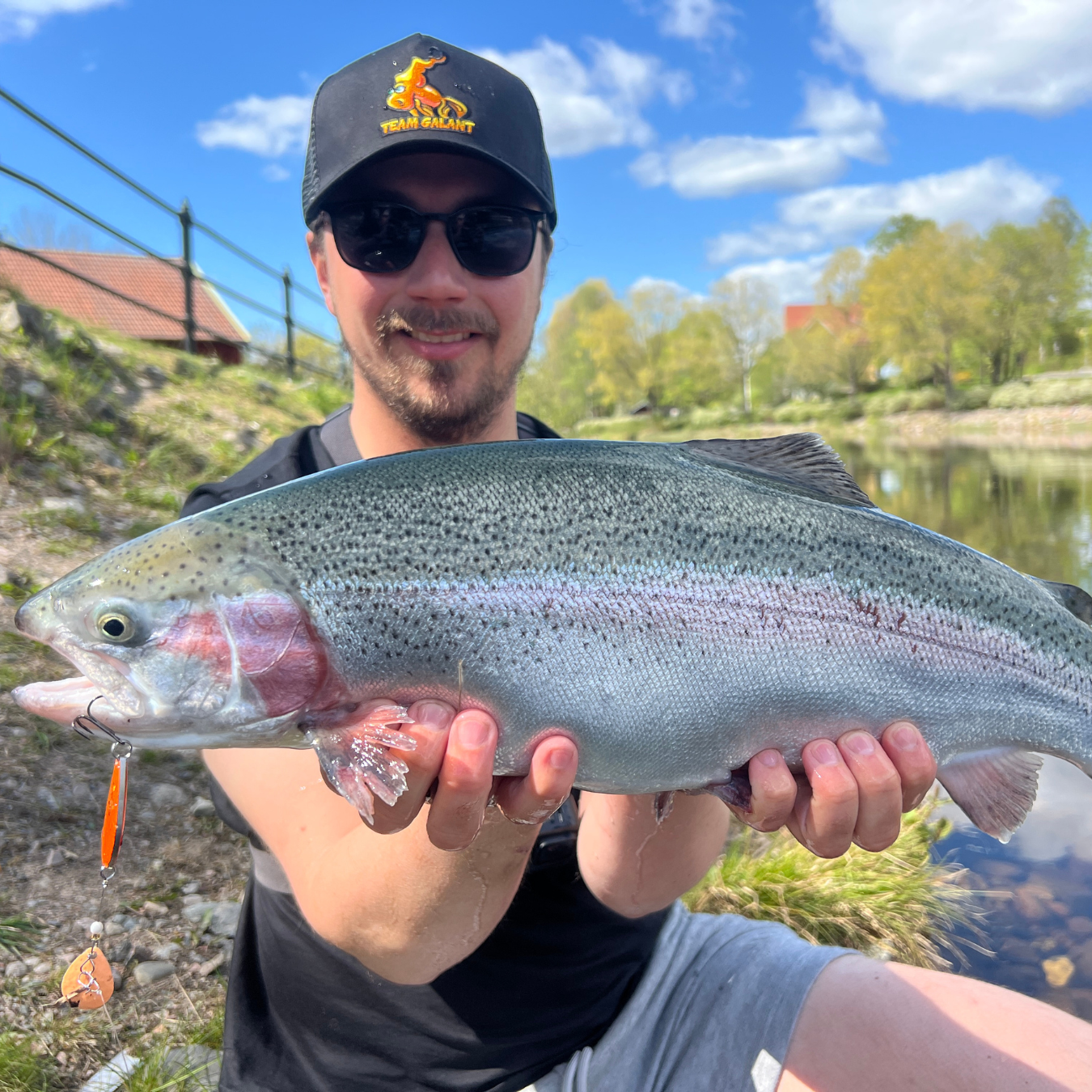 Norolanin parhaat kirjolohivieheet 5-pack