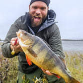 Norolanin parhaat ahvenvieheet 5-pack