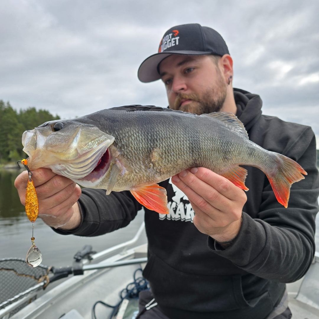 Norolanin parhaat ahvenvieheet 5-pack