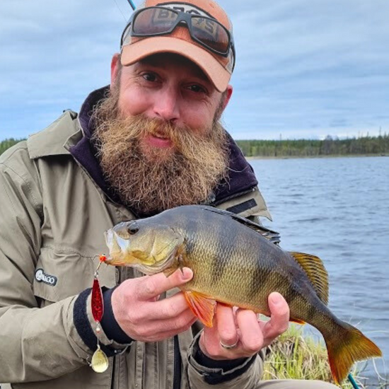 Norolan Disco Dancer Värisuora (7 myydyintä väriä)