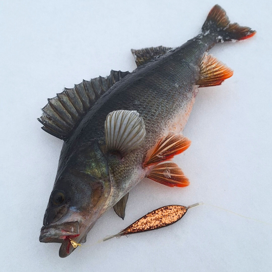 Norolan parhaat ahvenpilkit 5-pack