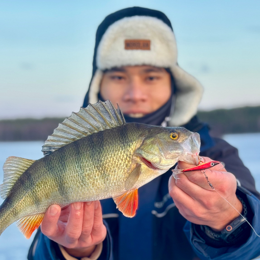 Norolan Balance Banger: kevyempi tasapainopilkki