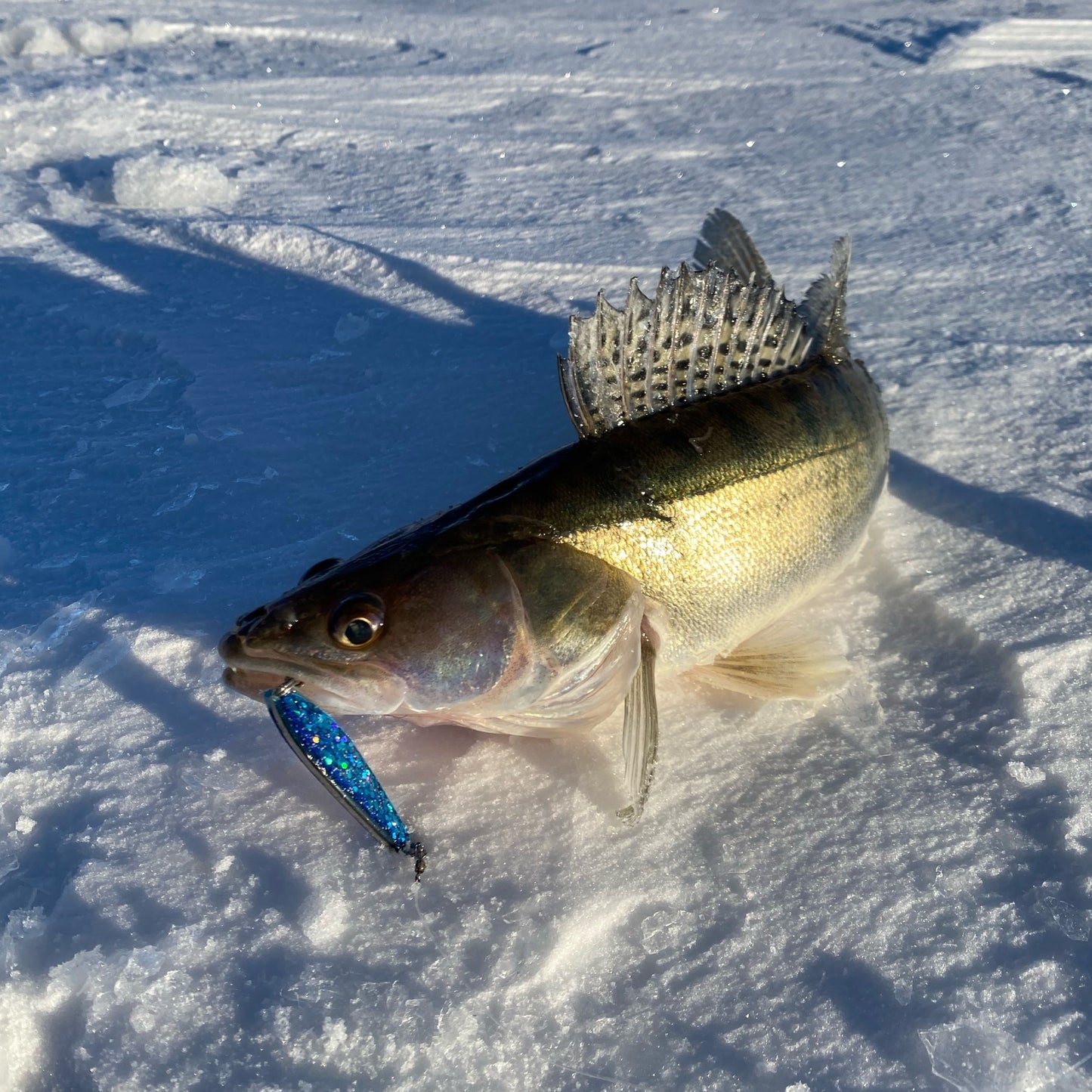 Norolan Winter Light kuhapilkki