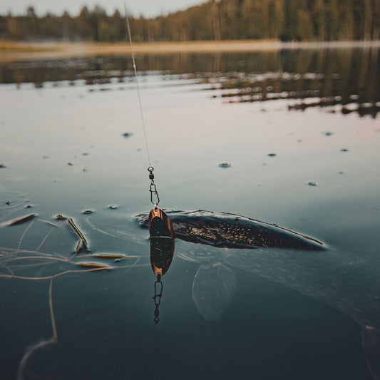 Norolan Light Spoon 8 cm