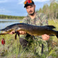 Norolan Griddy Dancer spinnerbait