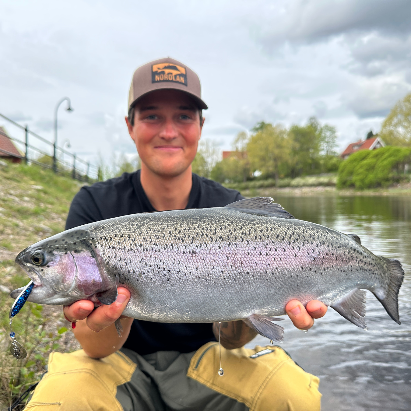 Norolanin parhaat kirjolohivieheet 5-pack