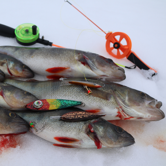 Norolan parhaat ahvenpilkit 5-pack