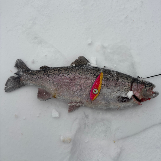 Norolanin parhaat kirjolohipilkit ja tarvikkeet