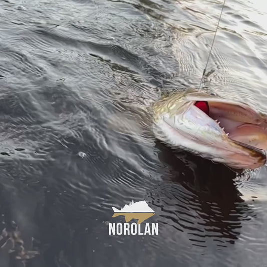 Norolan Pike Spoon 5-pack hauelle